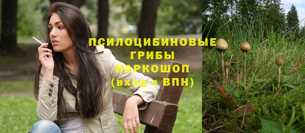 круглые Алексеевка