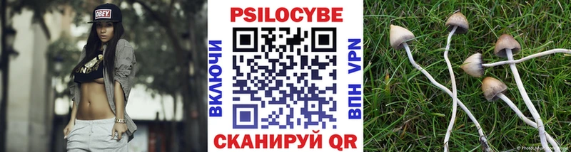 Псилоцибиновые грибы GOLDEN TEACHER  Шебекино 